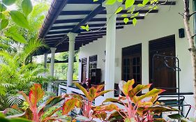 The Jungle Path Lodge